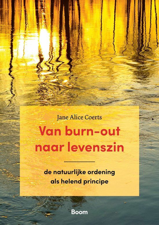 Van burn-out naar levenszin - Jane Coerts 